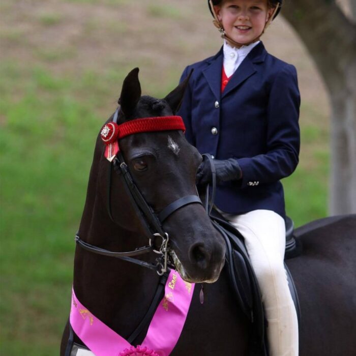 Childs Navy Classic/Silver Buttons - Image 4